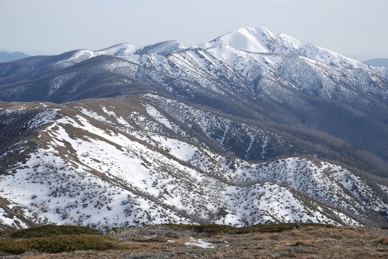 Mount Feathertop and the Razorback Spur. Photo: Peter Campbell